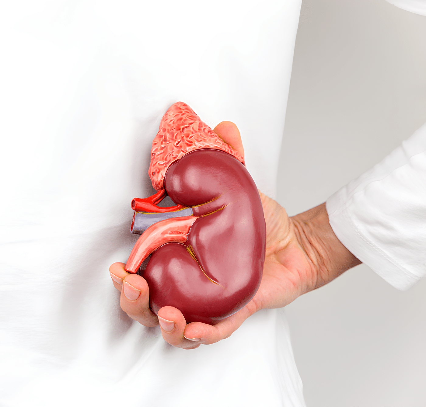 Photo of Supporting the LifeCycle Foundation